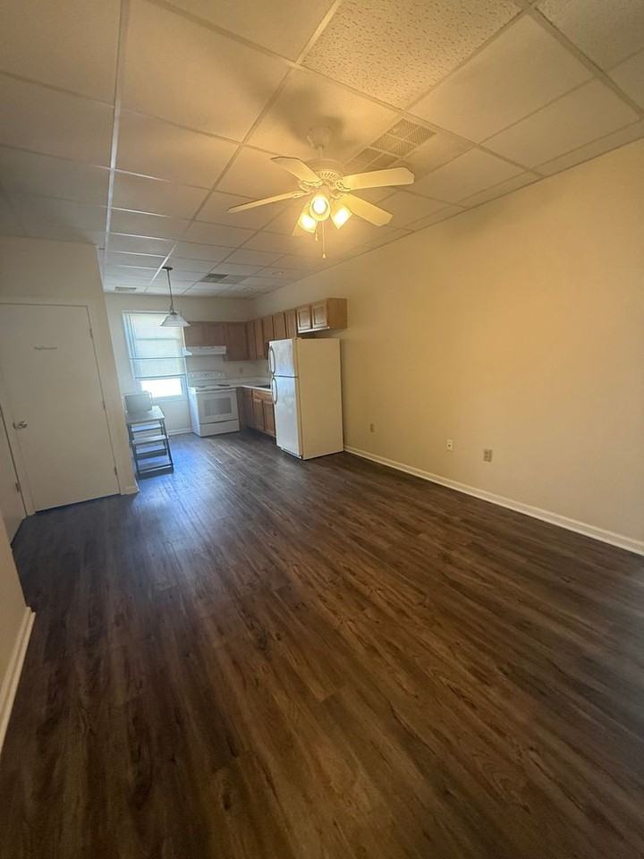 309 Church St - Photo 7 of 13