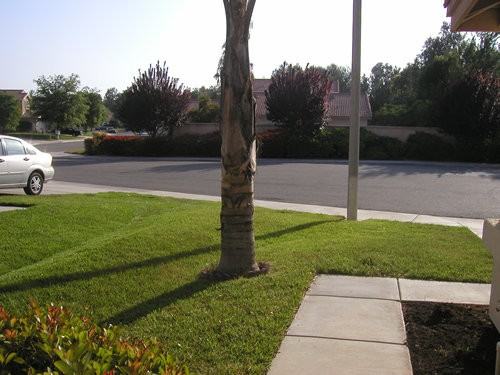 43340 Corte Benavente #NA - Photo 5 of 20