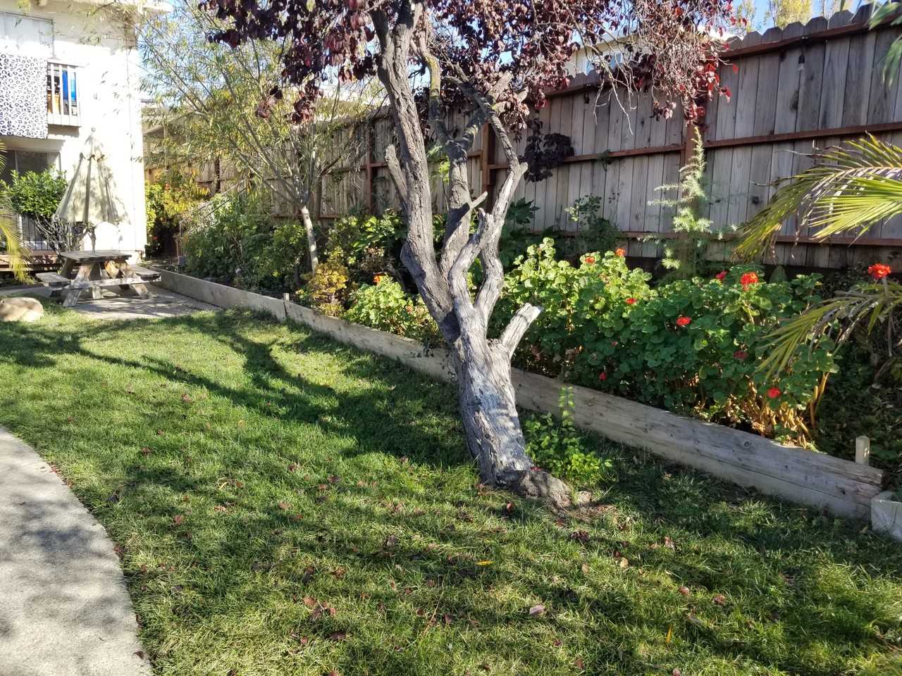 146 Maher Ct #NA - Photo 7 of 10
