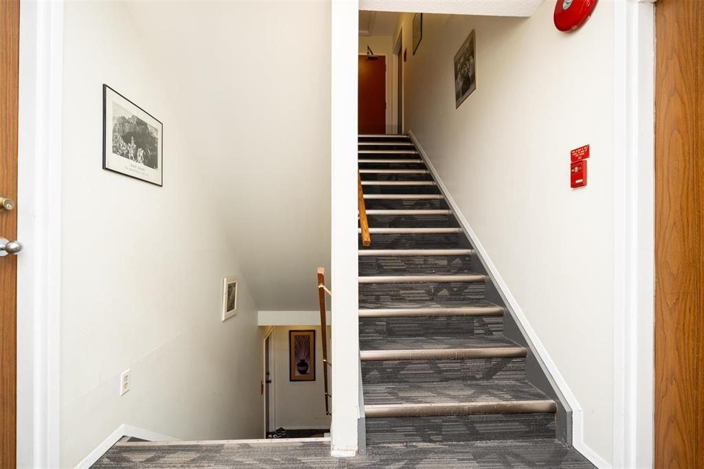 533 De La Morenie St, - Photo 4 of 9