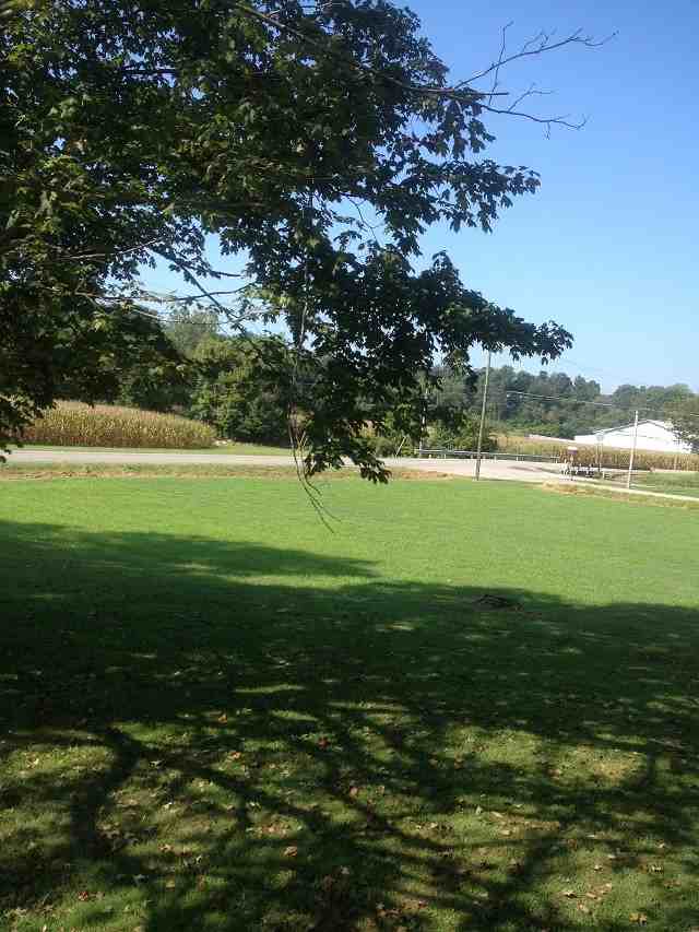 5015 Upper Mount Vernon Rd #1 - Photo 6 of 10