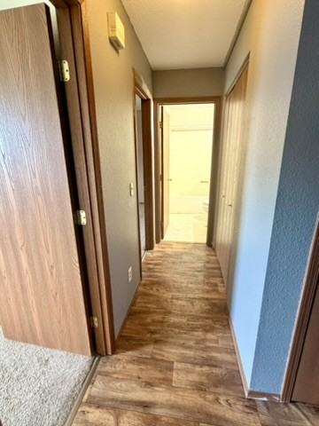 1828 W Jefferson St #4 - Photo 6 of 11