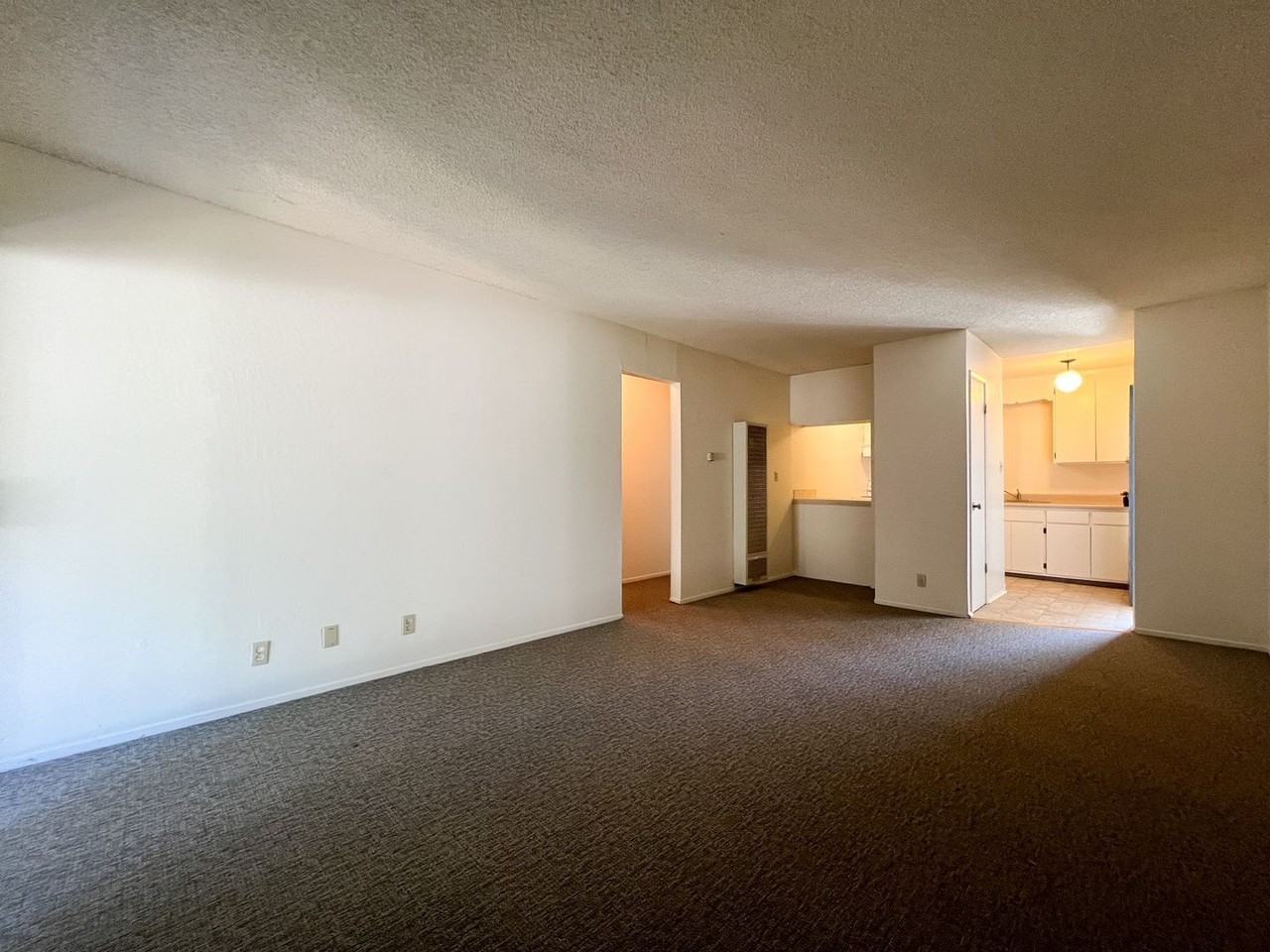 1201 Eggleston St - Photo 4 of 16