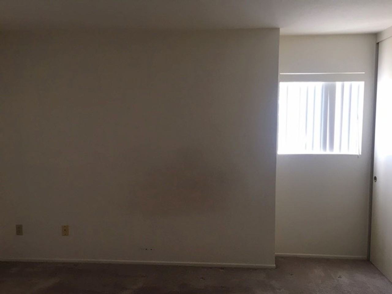 7123 Camino Degrazia #133 - Photo 5 of 10