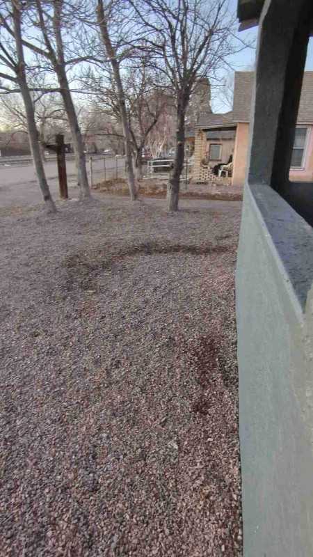 1244 Rio Grande Ave - Photo 5 of 12