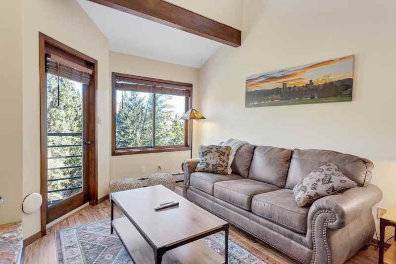 10000 Ryan Gulch Rd #207G - Photo 4 of 16
