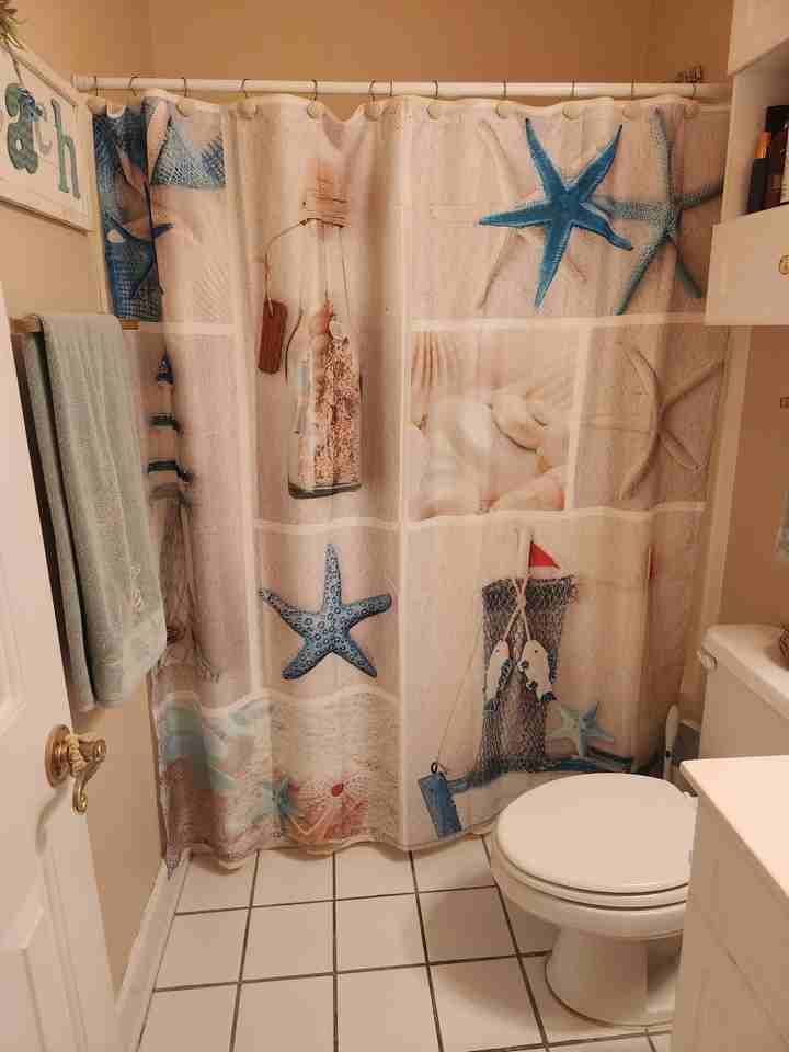 4830 Carnation Cir #302 - Photo 5 of 19
