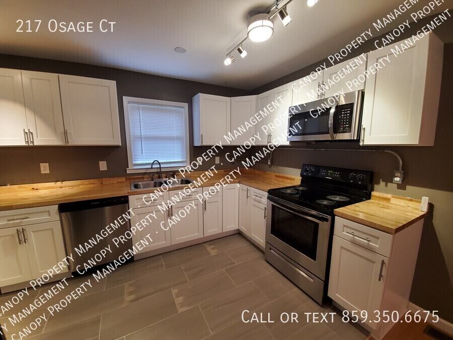 217 Osage Ct - Photo 4 of 17