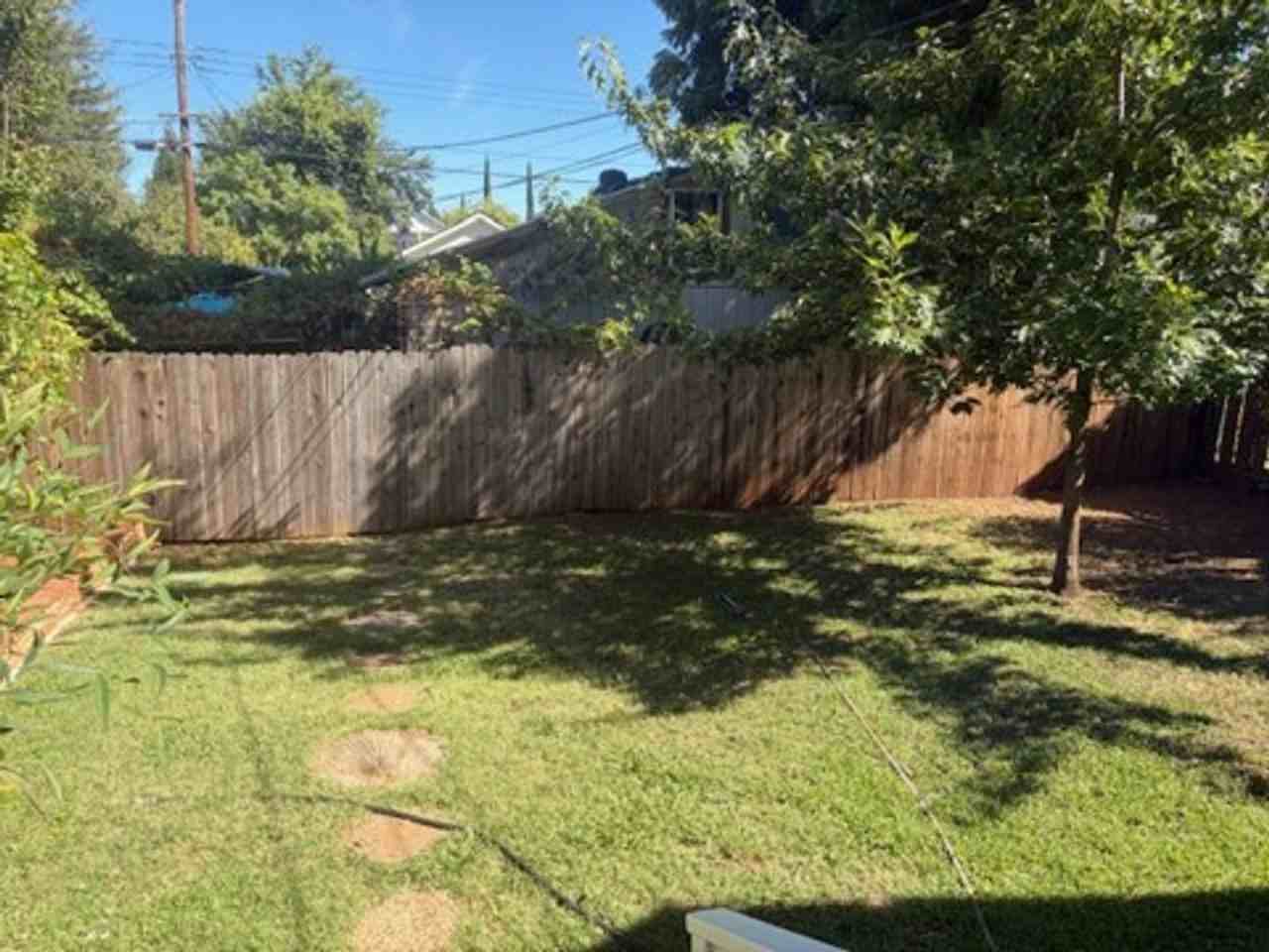 807 Natoma St - Photo 4 of 4