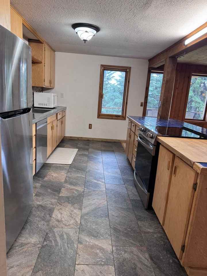 Chena Hot Springs Rd 6134-KR - Photo 7 of 27