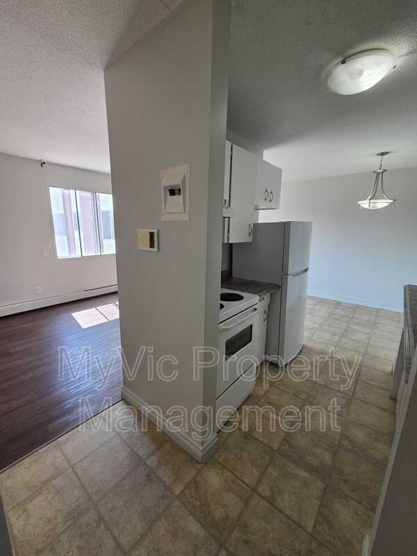 10045 83 Ave Nw - Photo 4 of 11