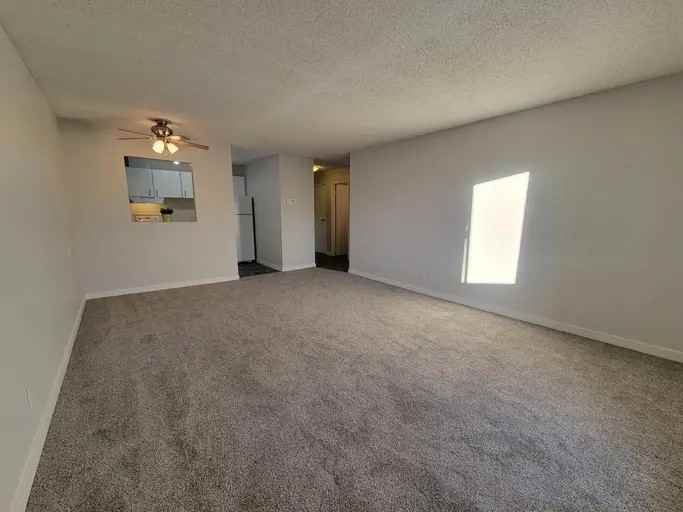5820 58a St #203 - Photo 3 of 6