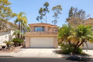featured image of 10833 Caminito Colorado
