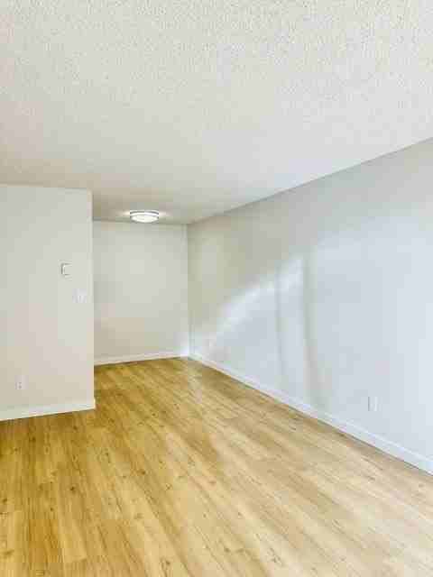 8714 35th Ave Ne #101 - Photo 4 of 10