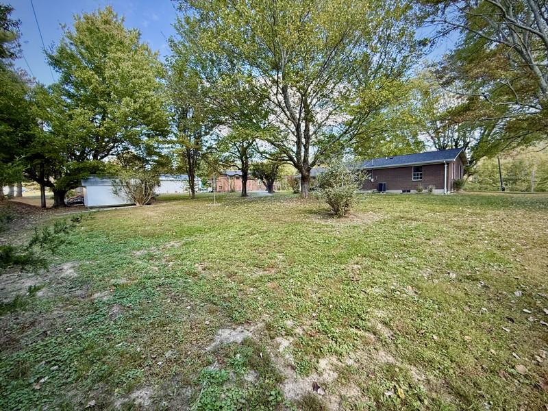597 Bluebird Dr - Photo 4 of 30