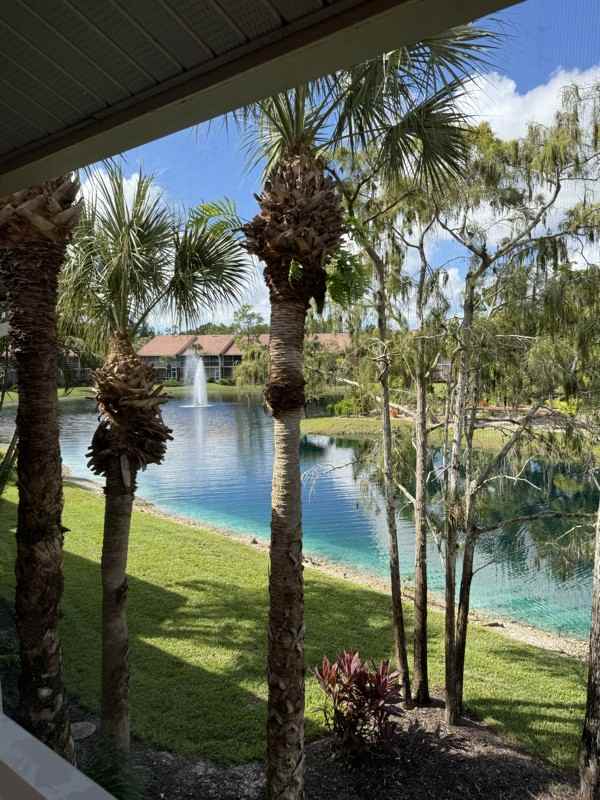1635 Windy Pines Dr - Photo 2 of 30