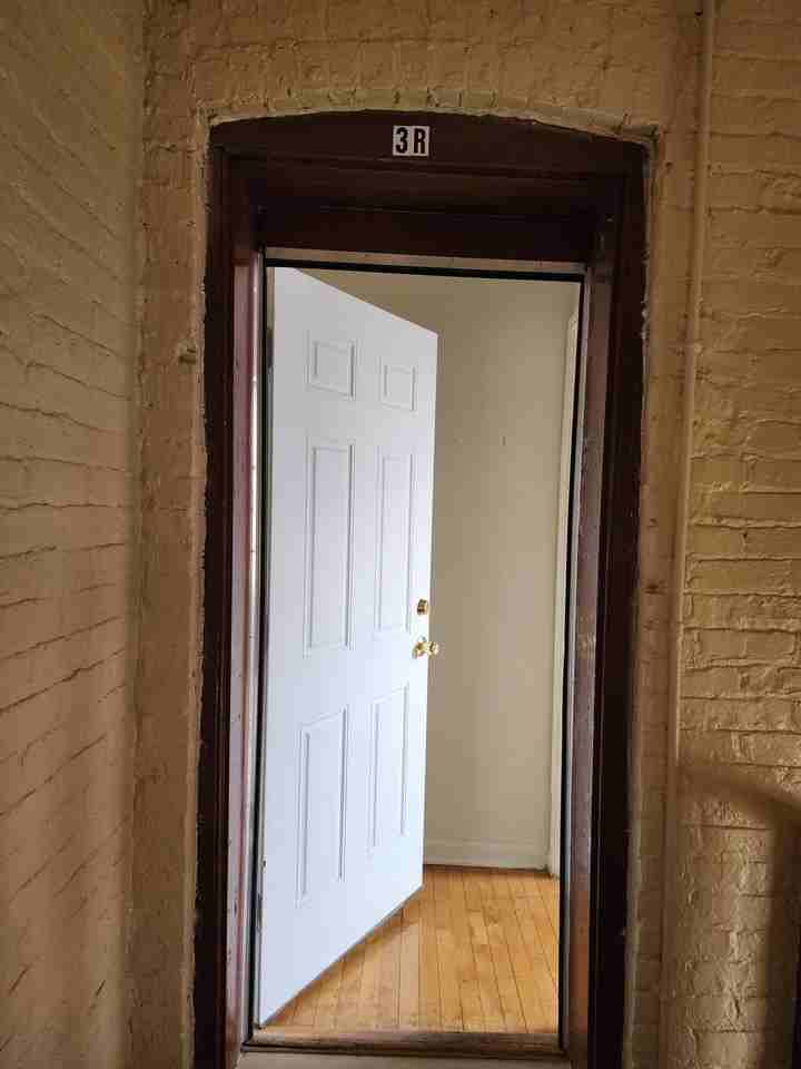 1650 S Saint Louis Ave #3R - Photo 2 of 19