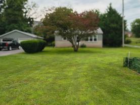 2931 Westwind Ln - Photo 1 of 1