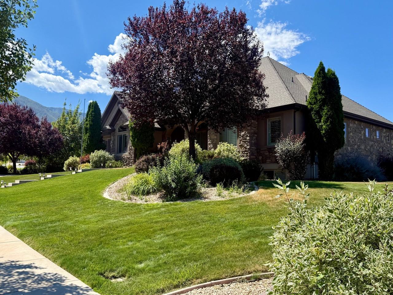 1124 Meadow Sage Cir - Photo 3 of 6