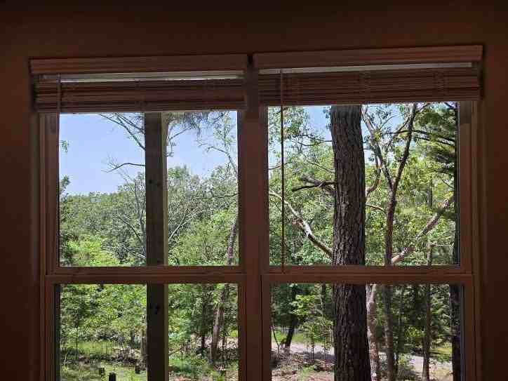29153 S Grand View Ln - Photo 7 of 10