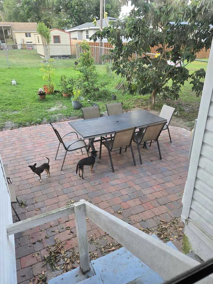812 Chatfield St - Photo 3 of 8