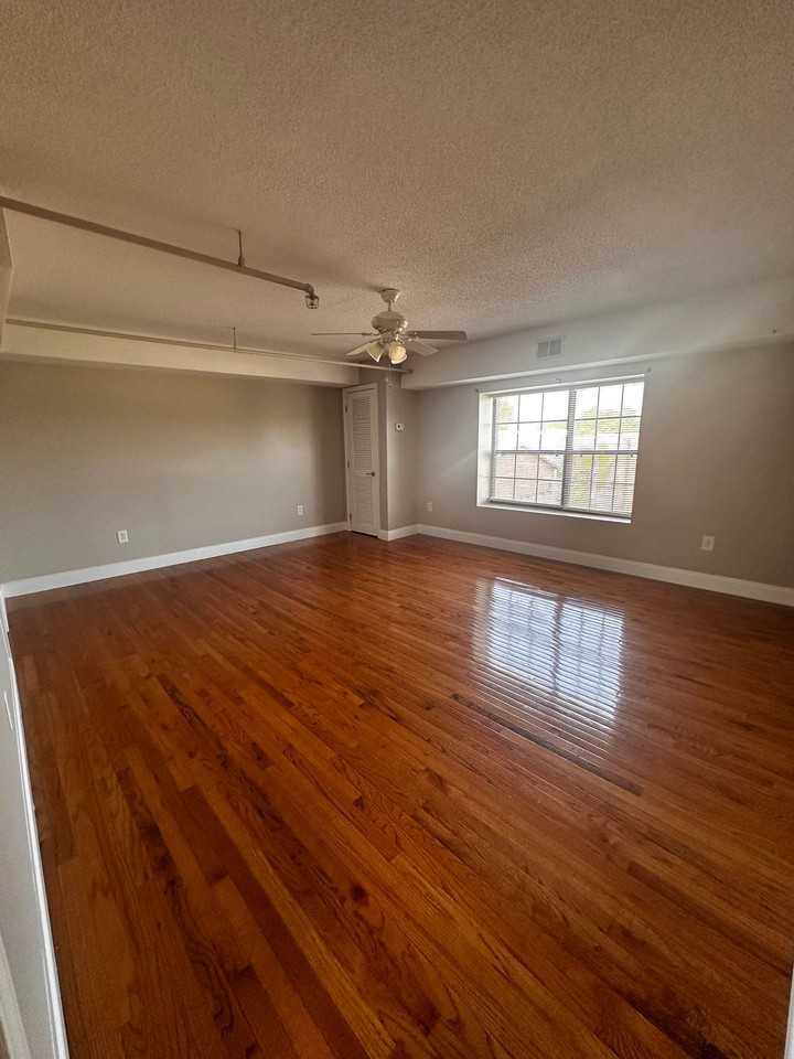 Experience Downtown Living! - Photo 3 of 4
