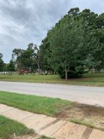 featured image of 1630 N Clay Ave
