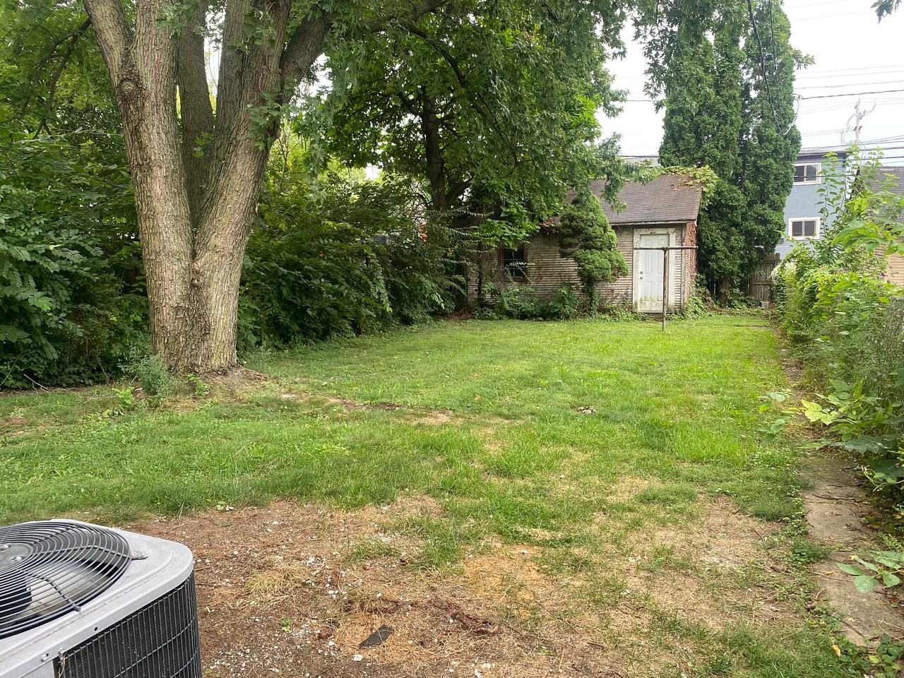 53 Euclid Ave #1 - Photo 7 of 13