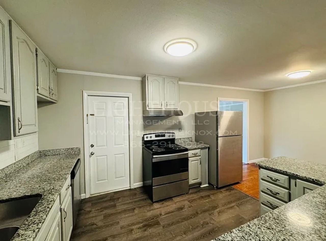 1505 Rambling Rd - Photo 4 of 18
