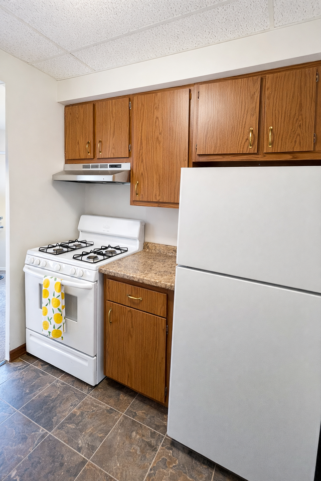5388 MAIN STREETAPT 2 #5388-02 - Photo 4 of 7