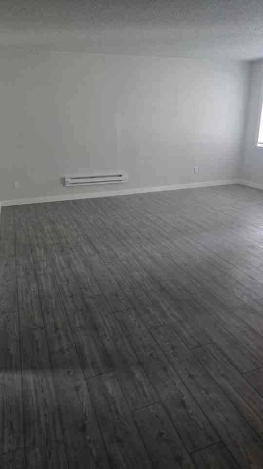 4301 Kinkead Ave #B22 - Photo 5 of 8