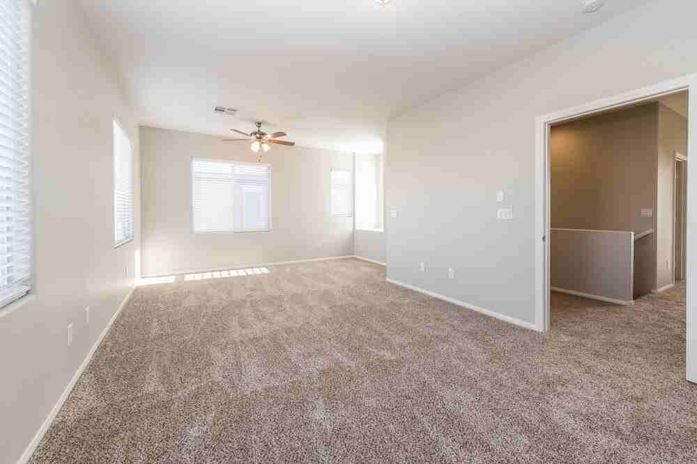 8257 Begonia Blush Dr - Photo 3 of 15