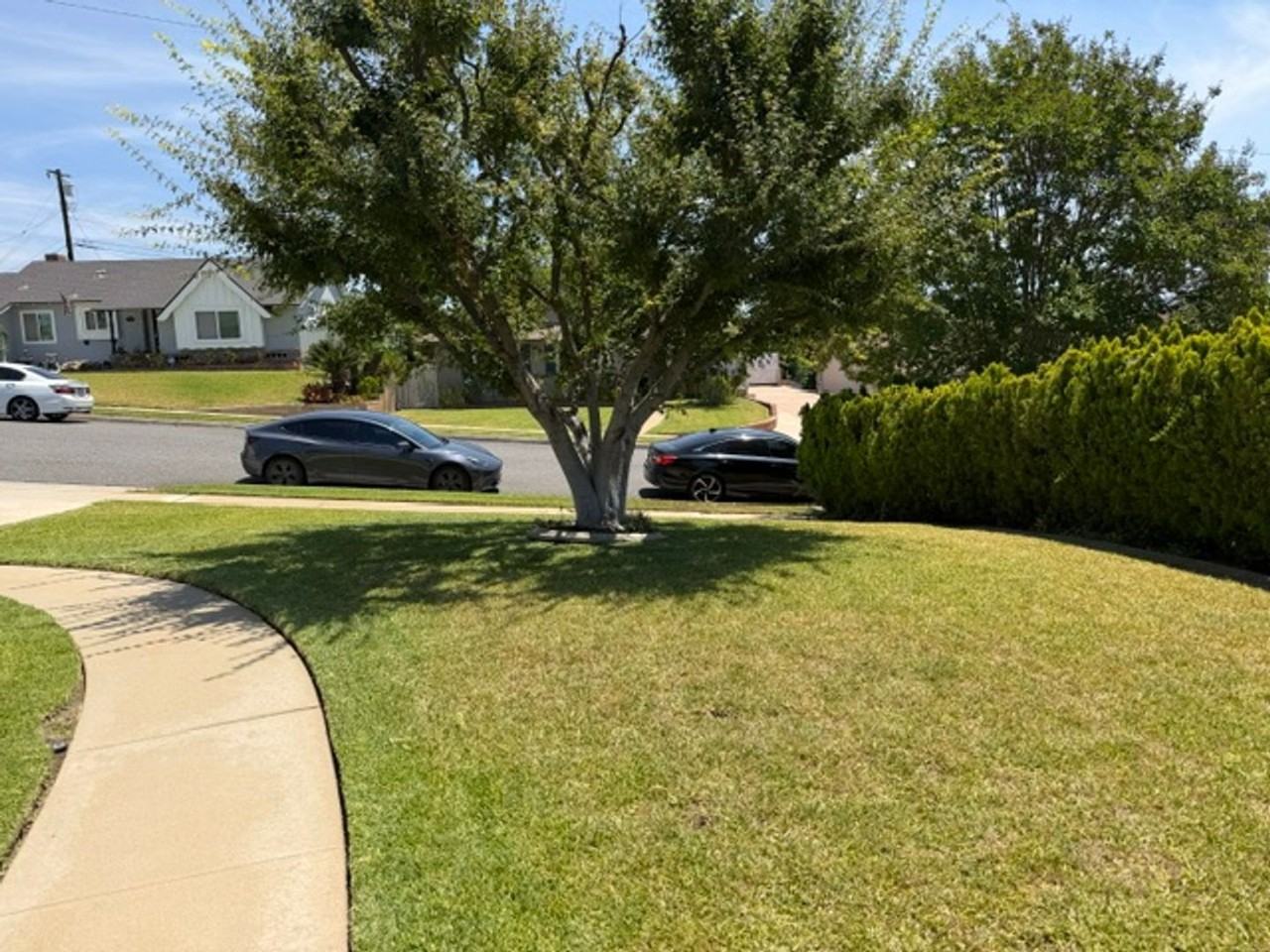 459 N Jenifer Ave - Photo 3 of 33