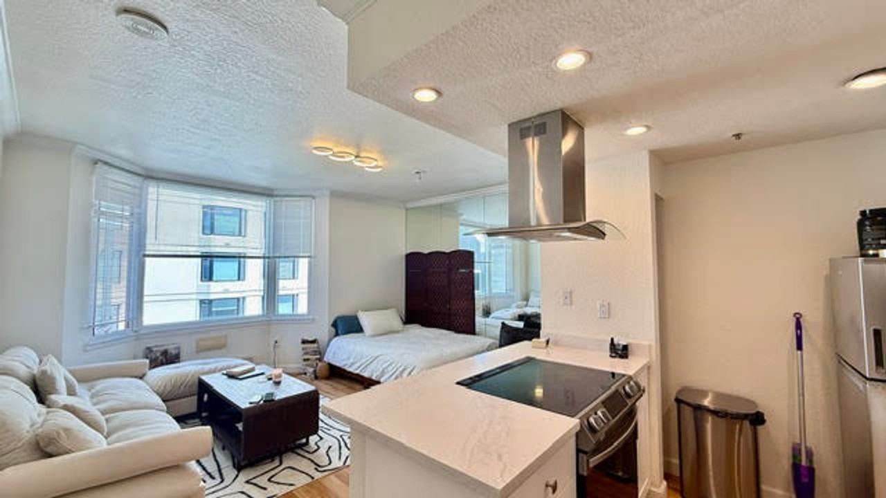 201 Harrison St #529 - Photo 3 of 12