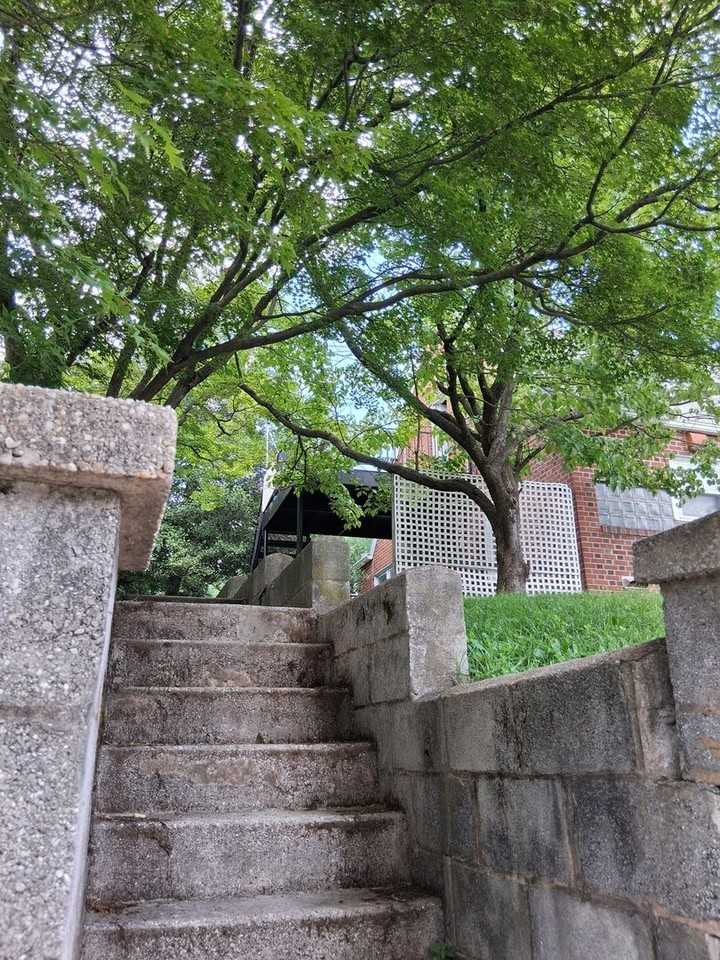 172 E Green St - Photo 3 of 19