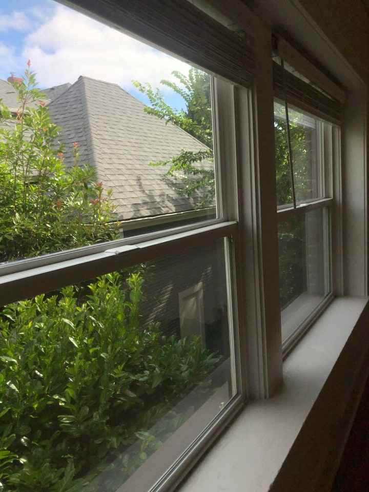 Gainsboro - Photo 5 of 43