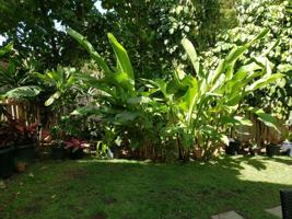 featured image of 140 Uwapo Rd #104