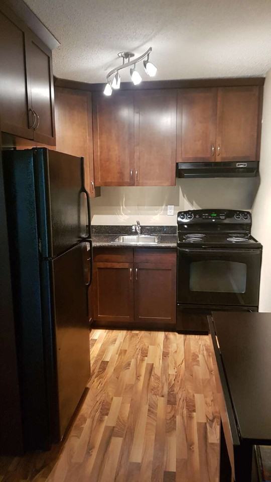 1013 Lansdowne Ave - Photo 4 of 11