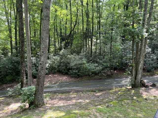 117 Bear Rock Rd - Photo 5 of 12