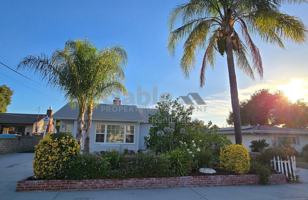 featured image of 24943 Chestnut St