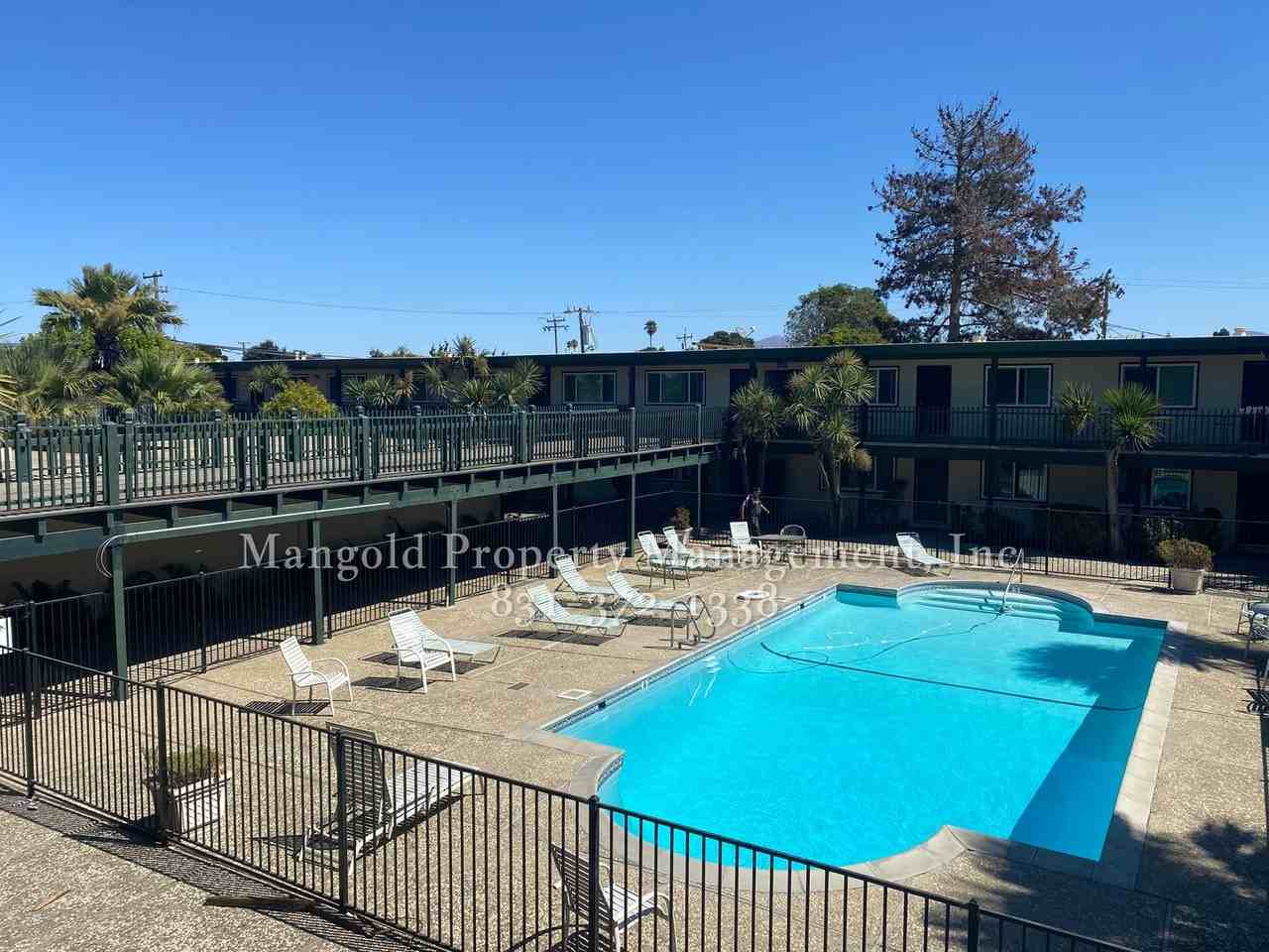 laurel - Photo 6 of 23