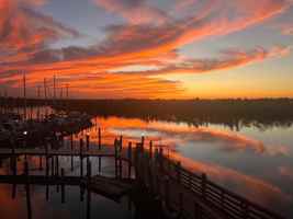 featured image of 793 Davis Rd #101