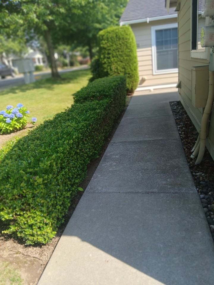 5760 Correll Dr #101 - Photo 7 of 20