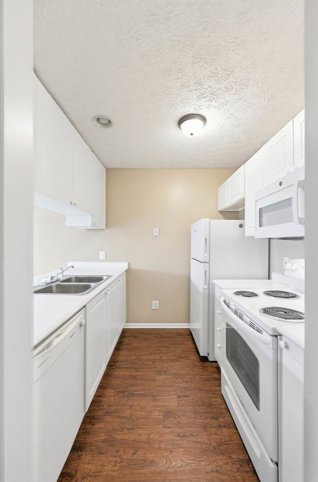 4659 Parrau Dr - Photo 6 of 21