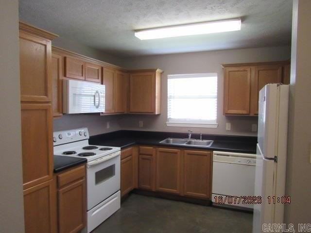 2125 Rosemary Dr Apt B - Photo 4 of 12