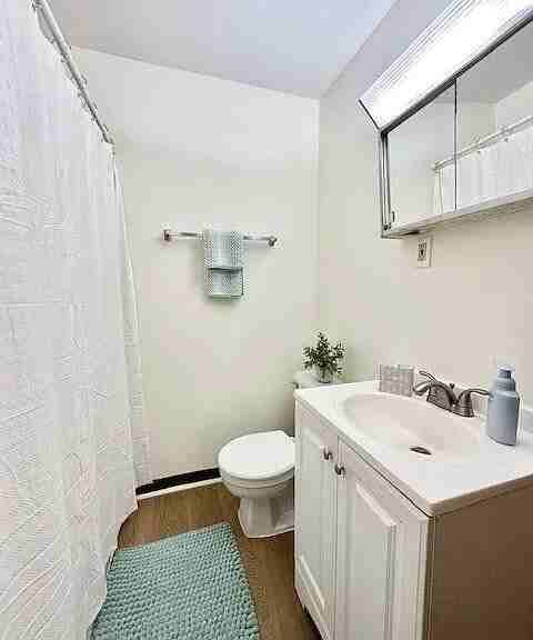 52 Pine Street, Unit 54 Pine - 1L (back) - Photo 2 of 6