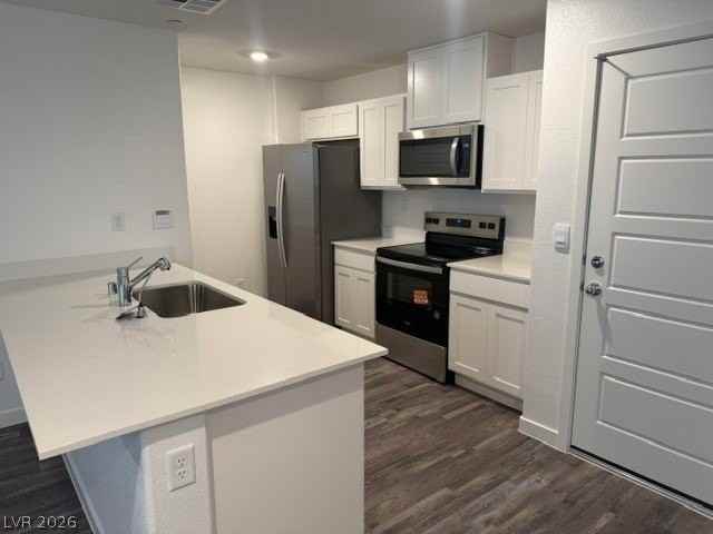 920 Rosy Starling St - Photo 4 of 11