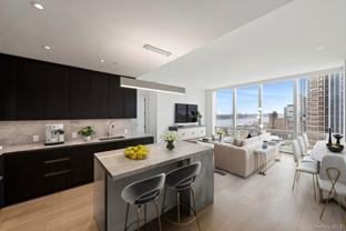 15 Hudson Yards #32G - Photo 1 of 1