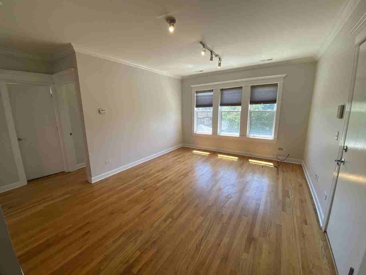 1156 W Cornelia Ave #3 - Photo 3 of 18