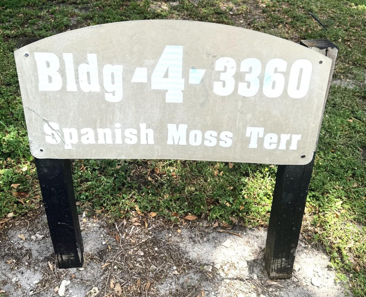 3360 Spanish Moss Ter #313 - Photo 4 of 15